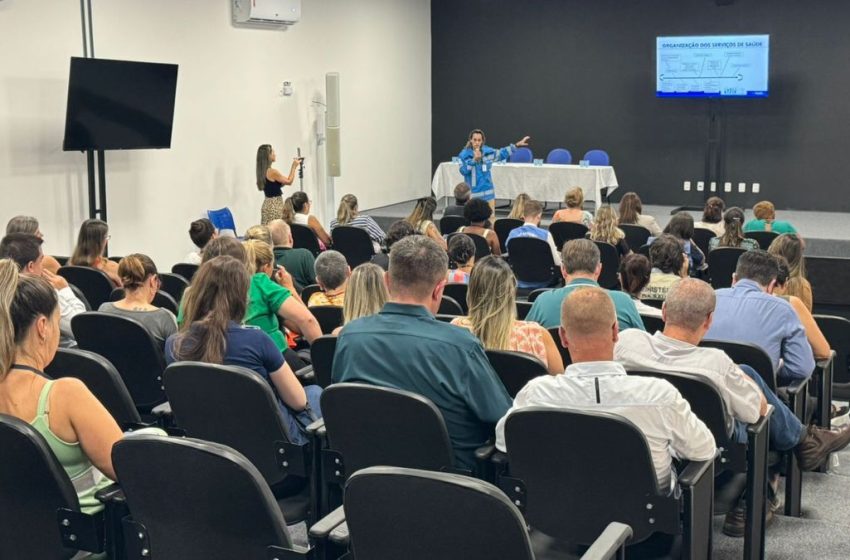  Ministério da Saúde visita SC para auxiliar no combate à dengue; Estado tem 21 mortes