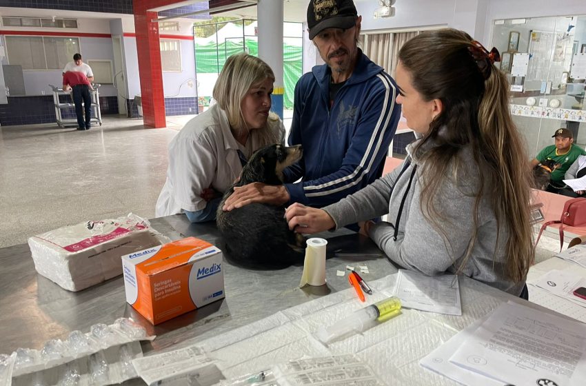  140 animais atendidos no Castramóvel