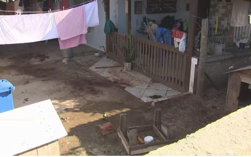  Homem morre após ser atacado por 4 pitbulls