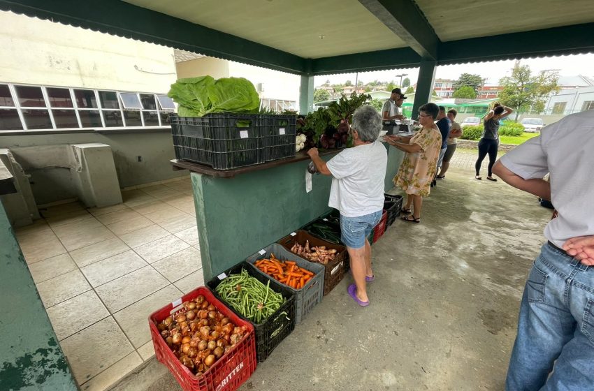  Câmbio Verde contabiliza 15 toneladas de materiais recicláveis arrecadados
