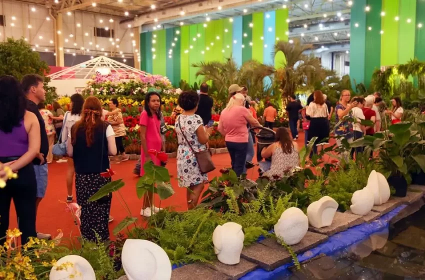  Saiba quando acontece a Festa das Flores de Joinville em 2024