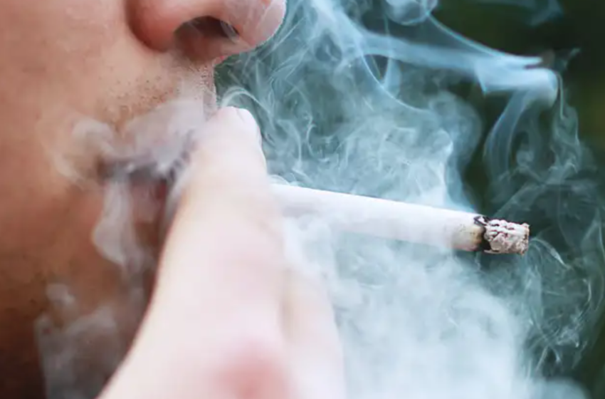  Tabagismo responde por 80% das mortes por câncer de pulmão no Brasil