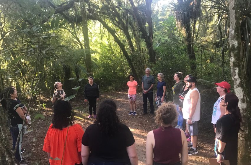  Oficina “Banho de Floresta” visa renovar energias 