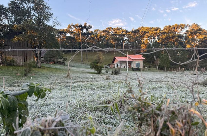  GEADA: Domingo com temperaturas abaixo de zero