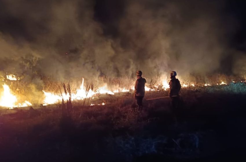  Resumo dos primeiros dias de atuação na Operação Pantanal do CBMSC