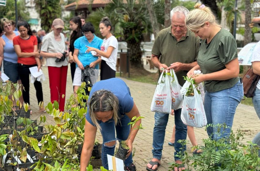  “MEU QUINTAL MAIS VERDE”: distribuição de mudas na praça central