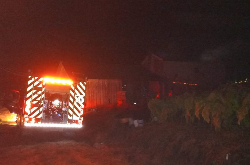  Produtores de fumo prejudicados por incêndios