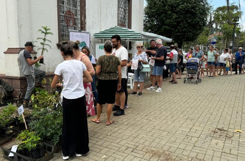 “Meu Quintal Mais Verde” distribui mais de 2 mil mudas