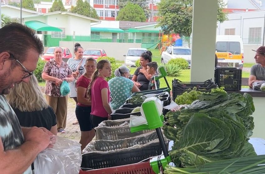  Mais de 5 toneladas de materiais coletadas no Câmbio Verde