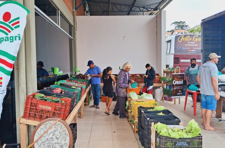  Mais de 4 toneladas de materiais coletadas no Câmbio Verde