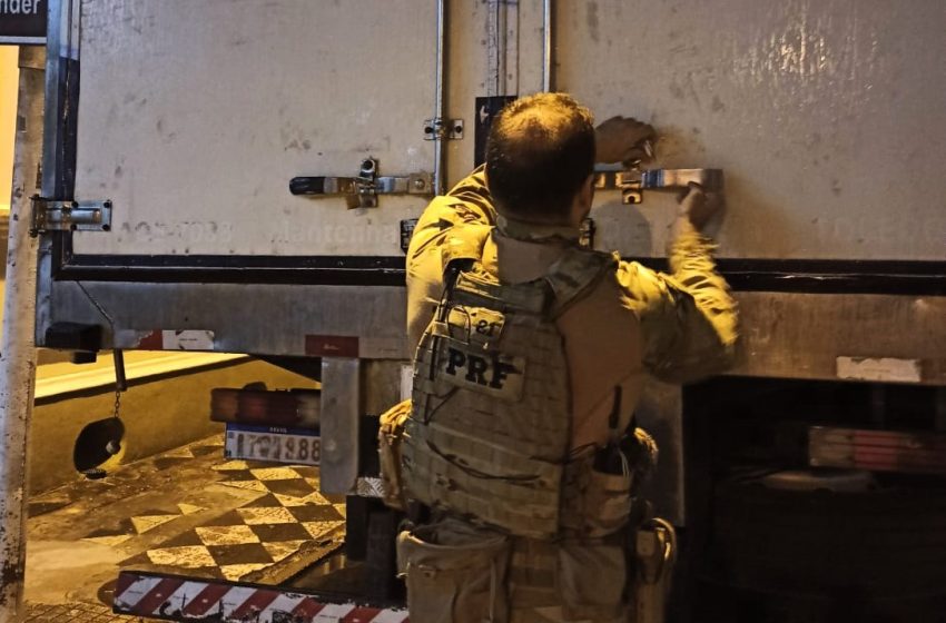  PRF apreende três toneladas de camarão argentino contrabandeado