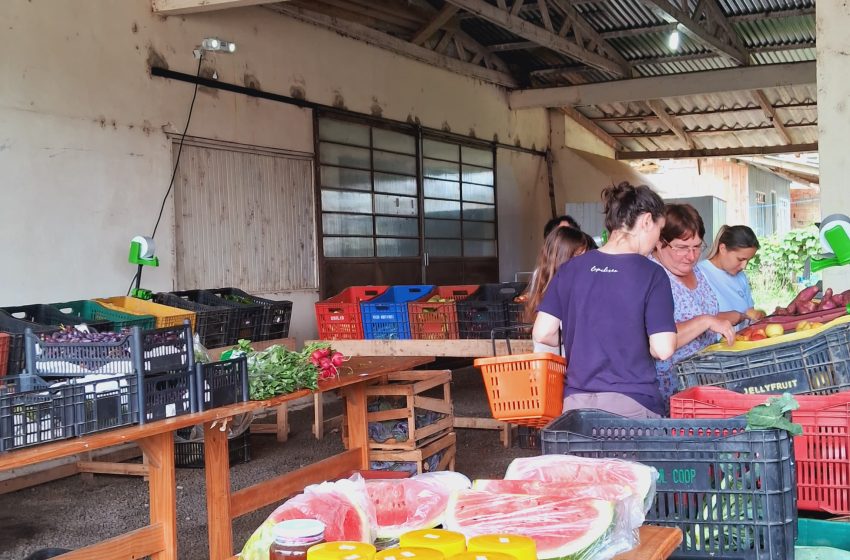  Bairro Cruzeiro recebe mais uma edição do Câmbio Verde