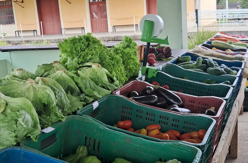  Hoje tem Câmbio Verde em Serra Alta