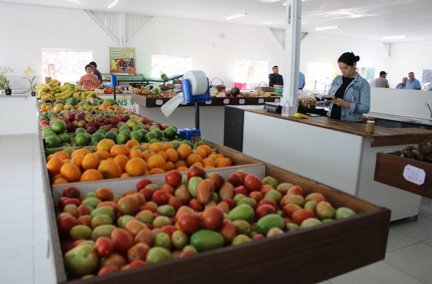  Confira os dias de Feira Livre em São Bento do Sul