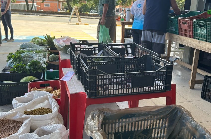  Sexta-feira tem Câmbio Verde