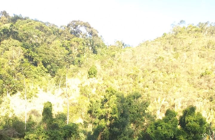  Tempo firme e frio abaixo de 0°C  na maior parte de SC