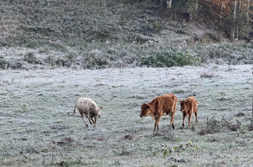 GEADA FORTE: Temperatura próxima de -5°