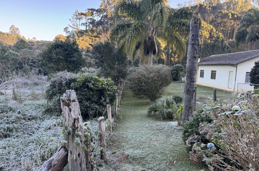  CLIMA: geada não se repete e a chuva chegou