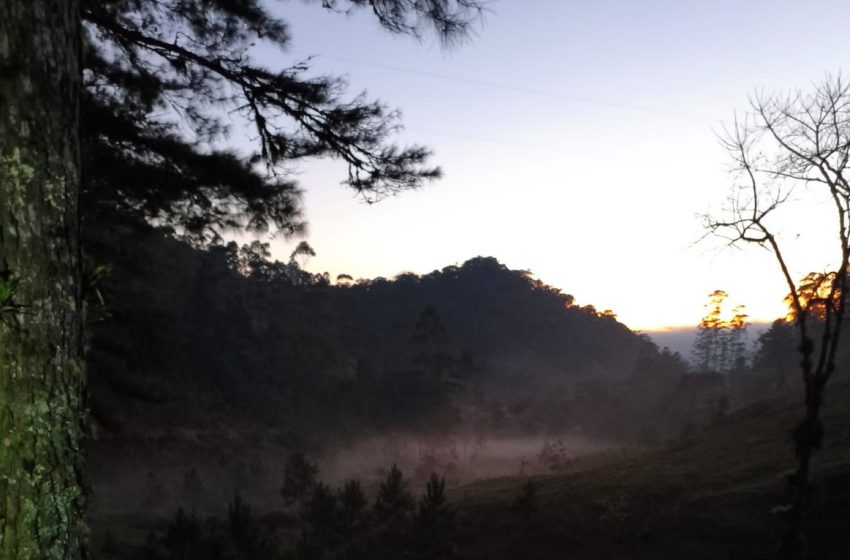  VEM GEADA: Previsão de mais frio para a semana