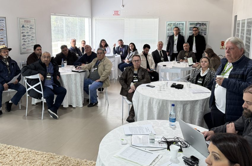  Família Bollmann apresenta a SteelMast, novo marco no setor industrial