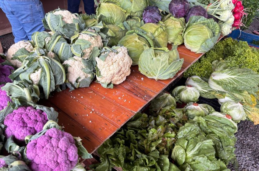  Câmbio Verde fortalece agricultura familiar
