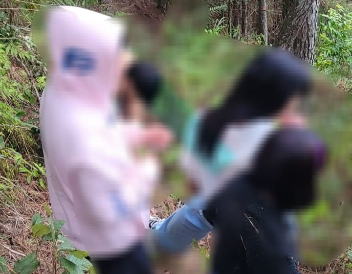  Quatro jovens se perdem na mata