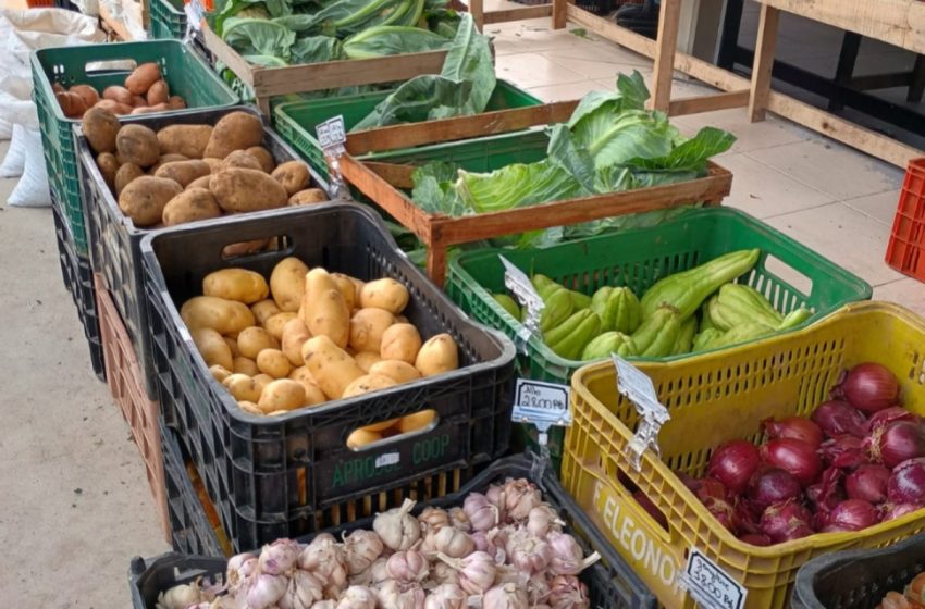  Bairro Brasília recebe edição especial do programa Câmbio Verde