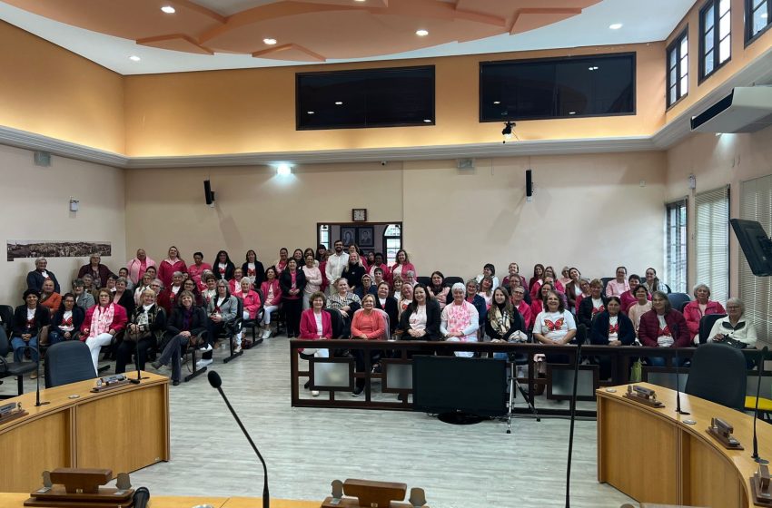  Palestra sobre câncer de mama marca Outubro Rosa na Câmara Municipal