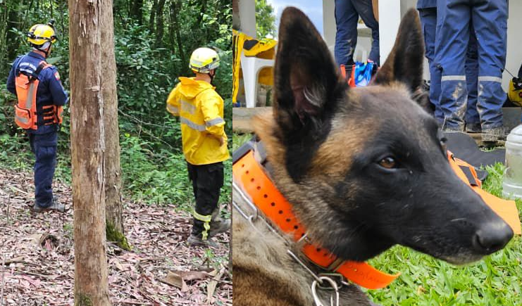  Buscas por idoso desaparecido continuam