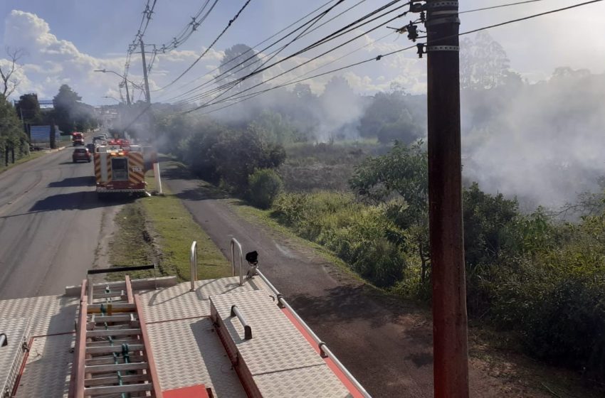  Mais um incêndio florestal registrado