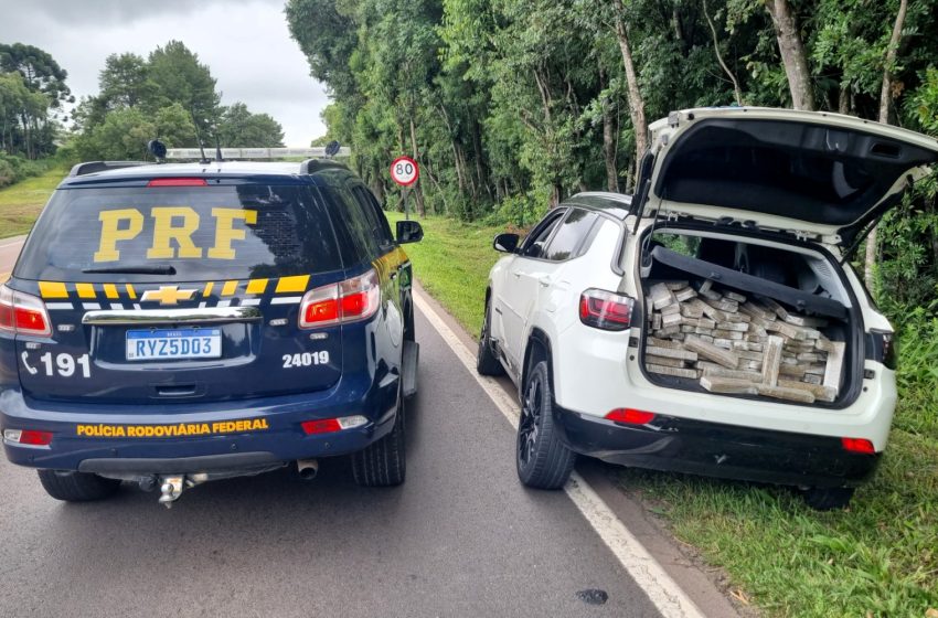  PRF e PMRv/SC interceptam quase meia tonelada de maconha