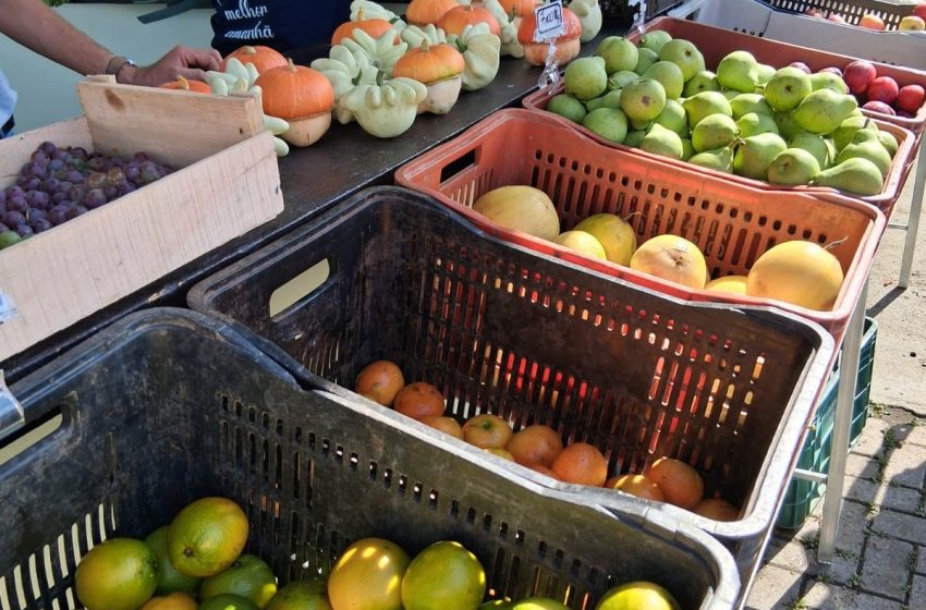  Cruzeiro recebe edição do Câmbio Verde nesta sexta-feira