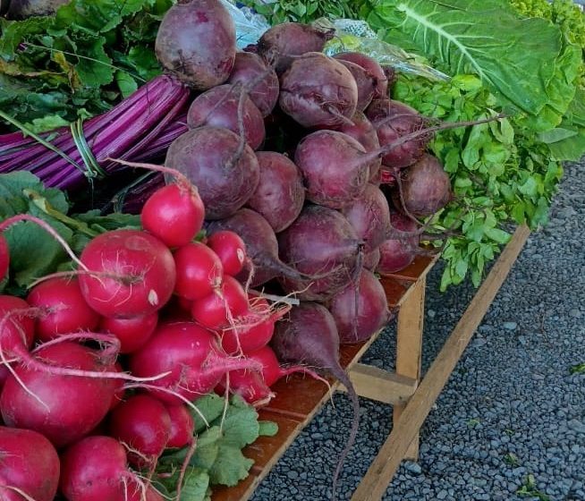  Câmbio Verde desta sexta acontece no bairro Centenário