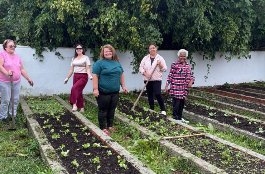  Horta Comunitária: primeiras mudas foram plantadas