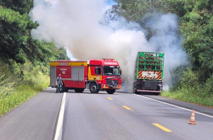  SIRENE LIGADA: Adeus…3 mortes…incêndio…trator