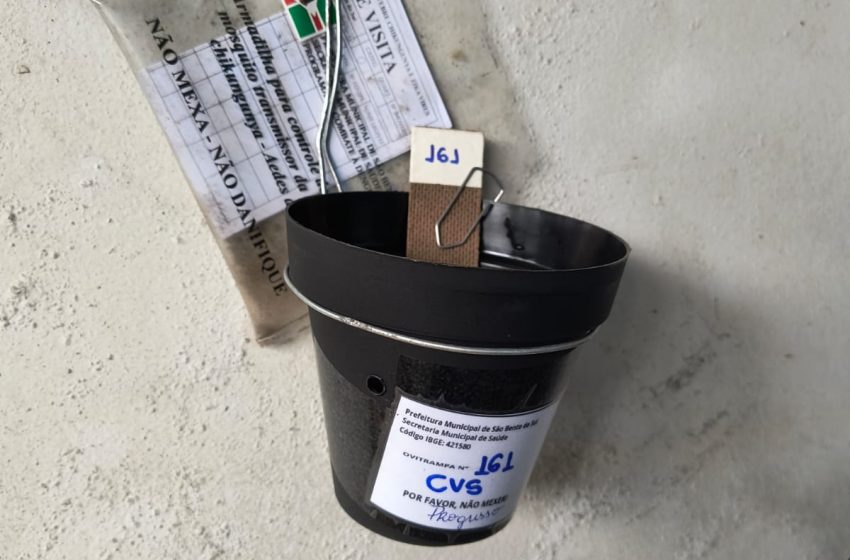  DENGUE: São Bento do Sul adota novo modelo de monitoramento