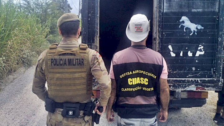  PM inicia ‘Operação Quaresma’ contra a Farra do Boi