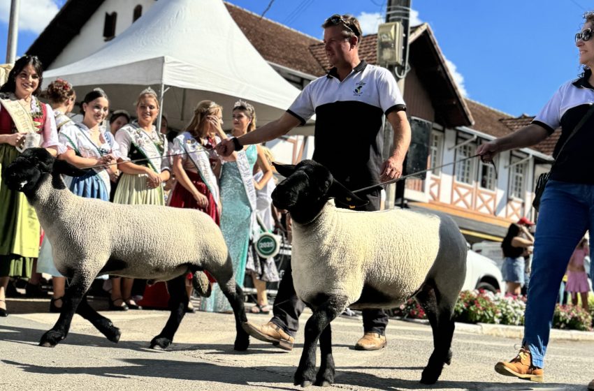  COLUNA POLÍTICA: Servidor…brigas…egos…129