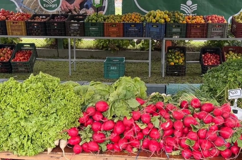  Bairro Centenário recebe Câmbio Verde nesta sexta-feira