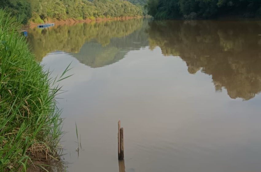  Corpo de idosa é localizado após afogamento no Rio Timbó, em Porto União