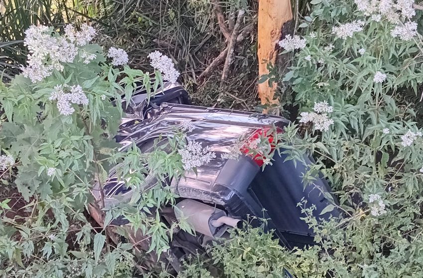  Motorista fica ferido após capotamento na BR-280 em Mafra