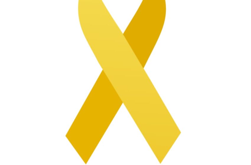  Maio Amarelo terá ações educativas em São Bento do Sul