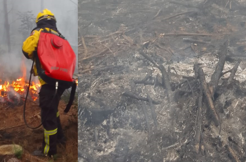  SIRENE LIGADA: motorista é preso por embriaguez…discussão termina em morte… lesão corporal e prisão