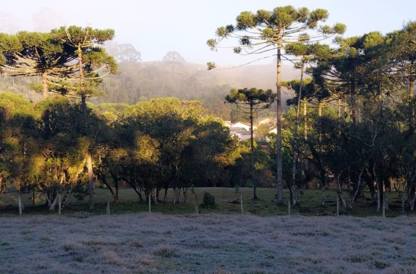  Cidade volta a amanhecer coberta por geada