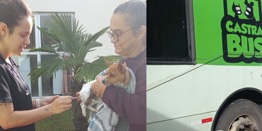  Mutirão de castrações de cães e gatos teve início nesta quinta-feira em Serra Alta