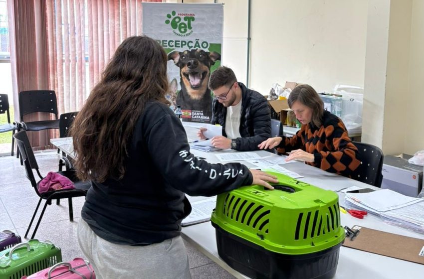  Utilidade Pública: abertas inscrições para mutirão gratuito de castração de cães e gatos