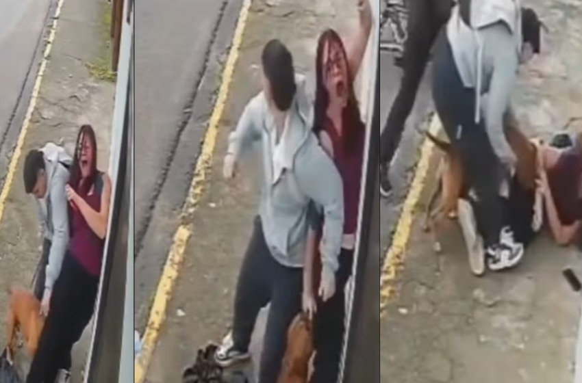  Jovem é atacada por pitbull  e sofre diversos ferimentos
