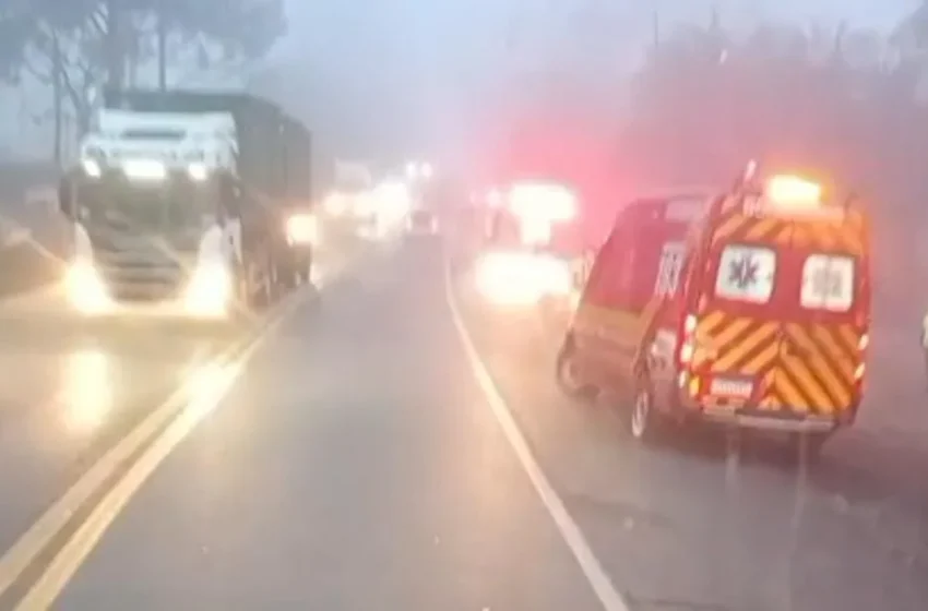  TRAGÉDIA: irmãos morrem atropelados